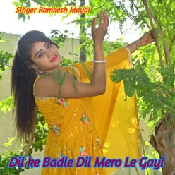 Dil ke Badle Dil Mero Le Gayi